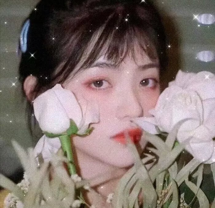 惜花芷